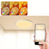 LED Panel Rund Ø 45 cm IP44 72 W Nassraum